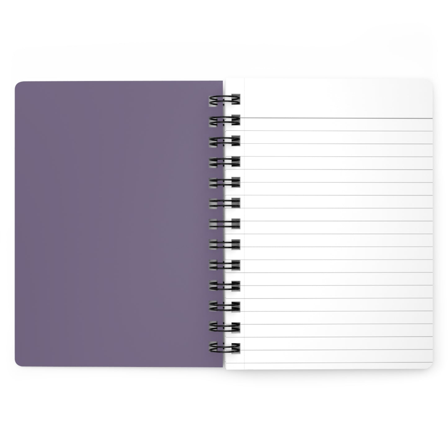 Blue Beetle 1 Golden Age Spiral Notebook